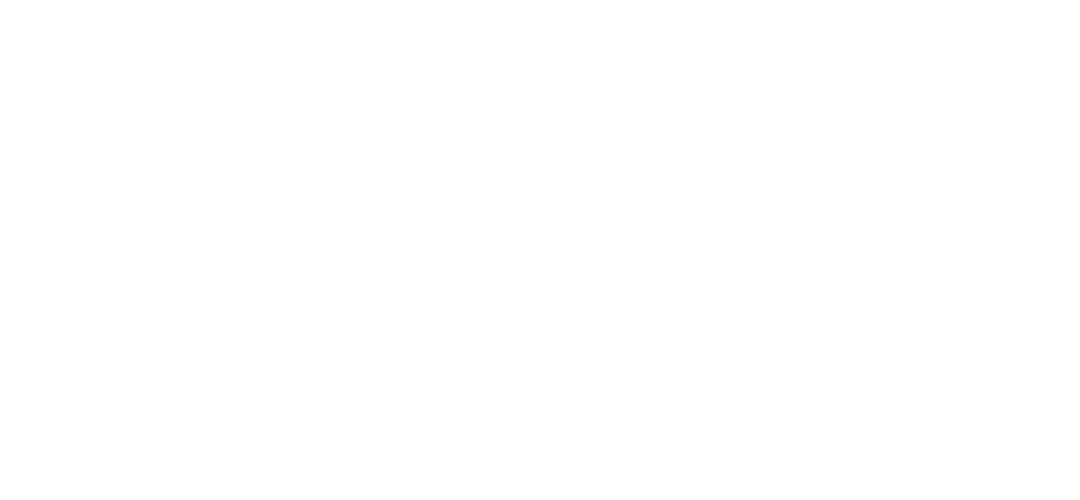 Banapay Logo